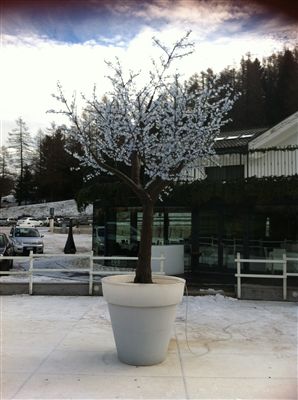 ALBERO A LED 4 METRI